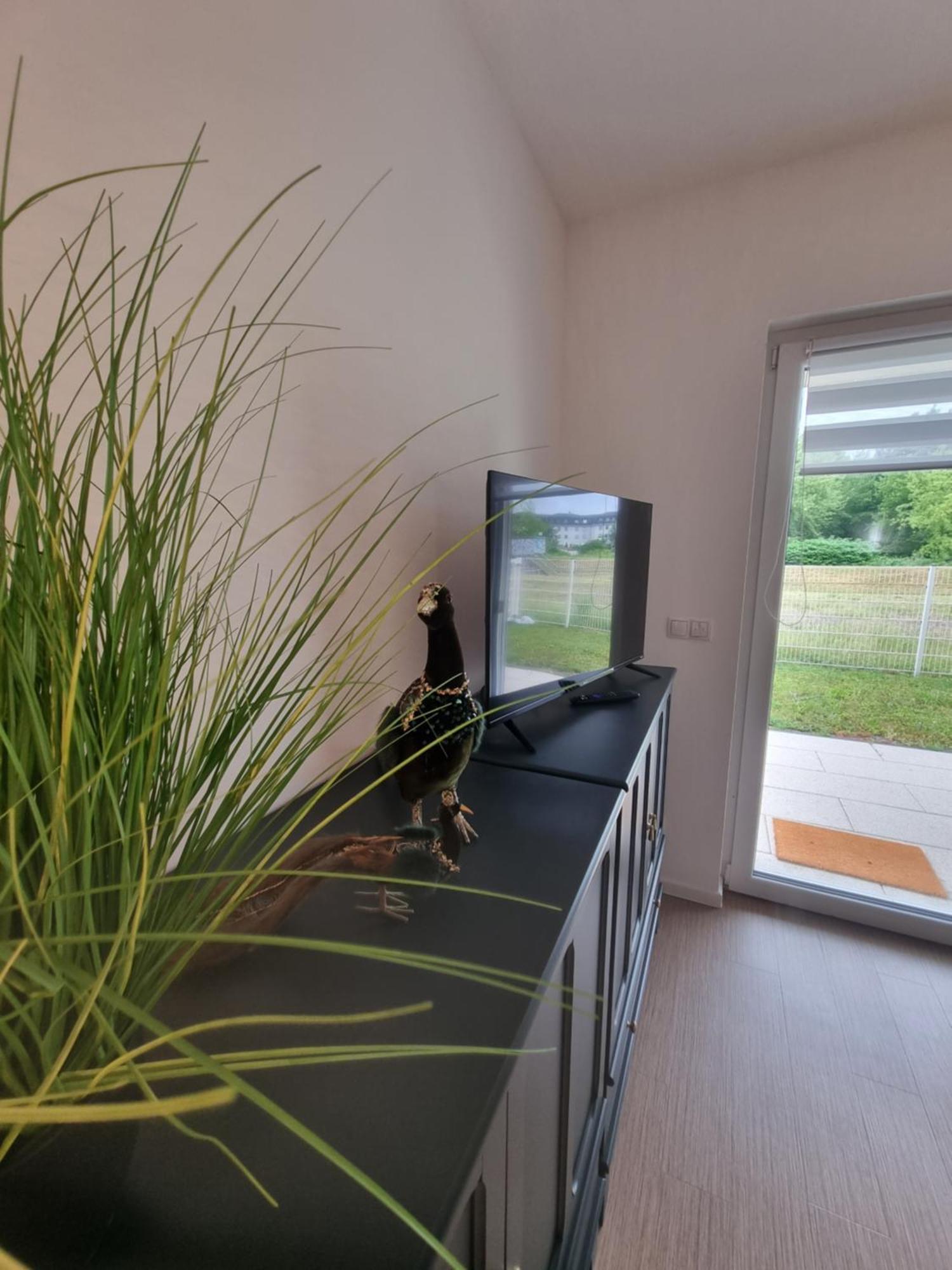 Ferienwohnung Im Palais Am See Am Goitzschesee Bitterfeld-Wolfen Værelse billede